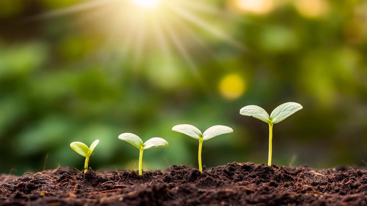 🌹霊的な正しい行動とは？