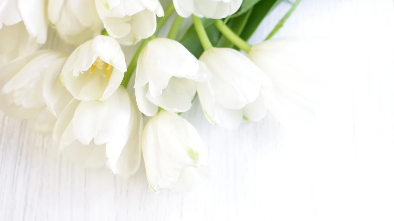 🌹意識とはなんでしょうか？